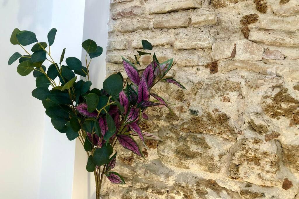 Gatu Premium Villa Libertad, Preferente Mayores De 25 Anos Y Familias Cádis Exterior foto